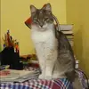 Отзыв от Дарья Малышева